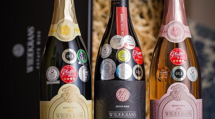 Endless Vineyards at Wildekrans Wine Estate