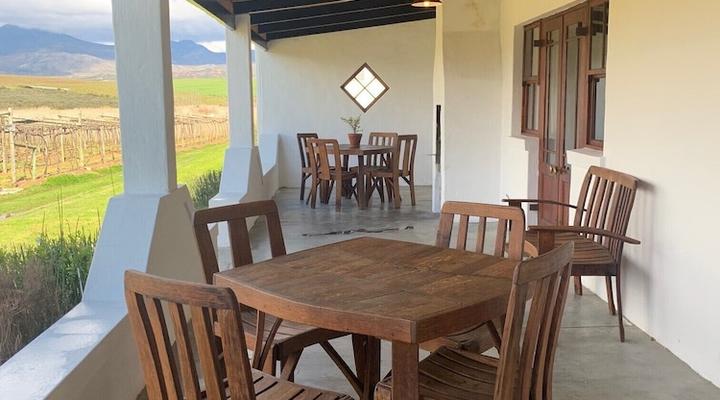 Endless Vineyards at Wildekrans Wine Estate