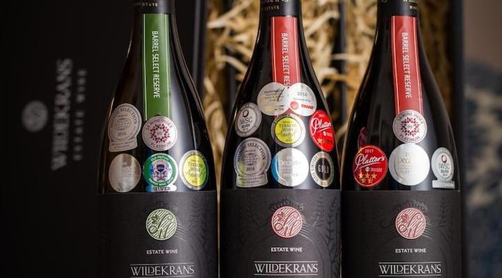 Endless Vineyards at Wildekrans Wine Estate