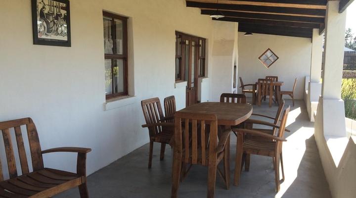 Endless Vineyards at Wildekrans Wine Estate