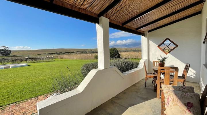 Endless Vineyards at Wildekrans Wine Estate