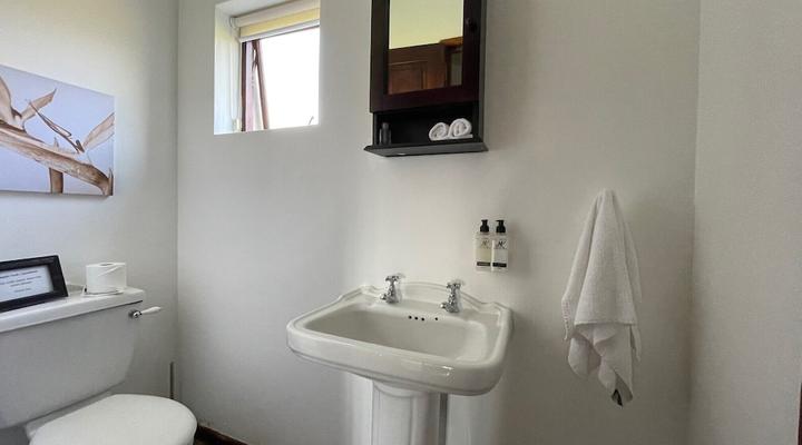 Endless Vineyards at Wildekrans Wine Estate