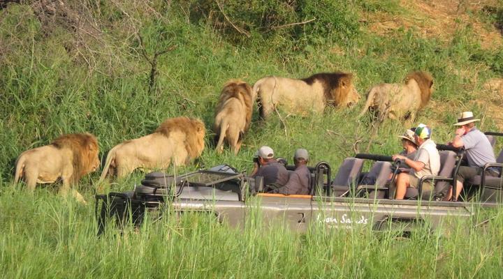 Lion Sands Tinga Lodge