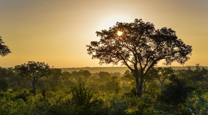 Lion Sands Tinga Lodge