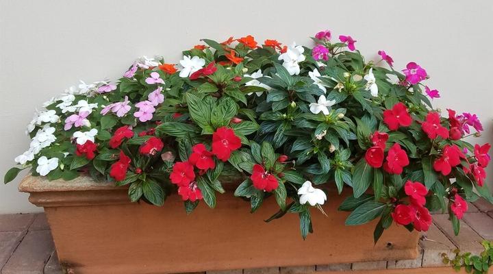 Ocean Park Guest House