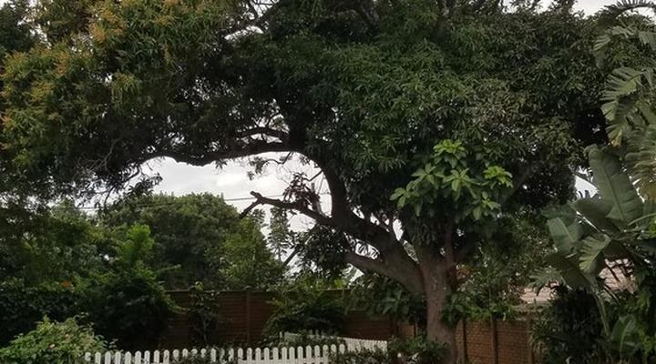 Ocean Park Guest House