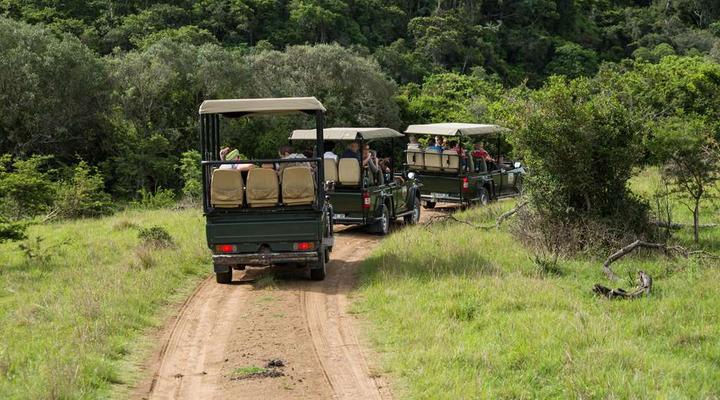 Premier Resort Mpongo Private Game Reserve
