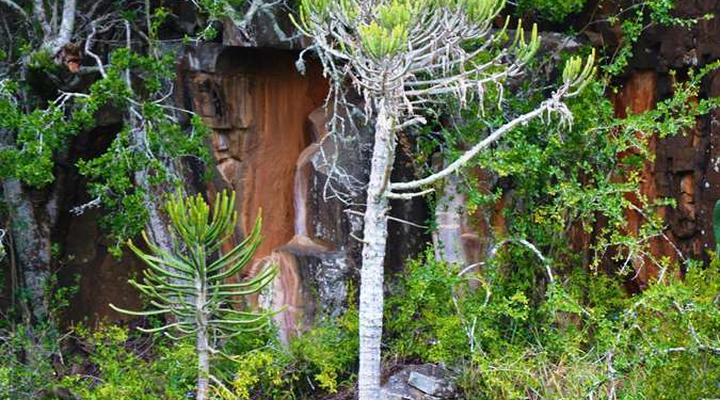 Premier Resort Mpongo Private Game Reserve