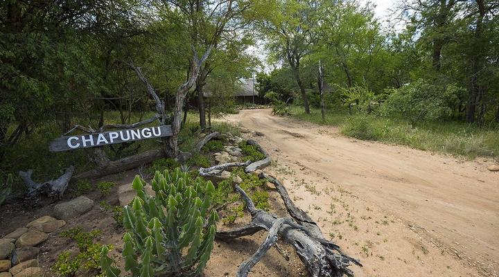 Chapungu Luxury Tented Camp