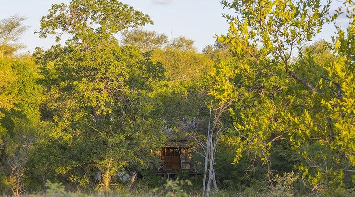 Chapungu Luxury Tented Camp