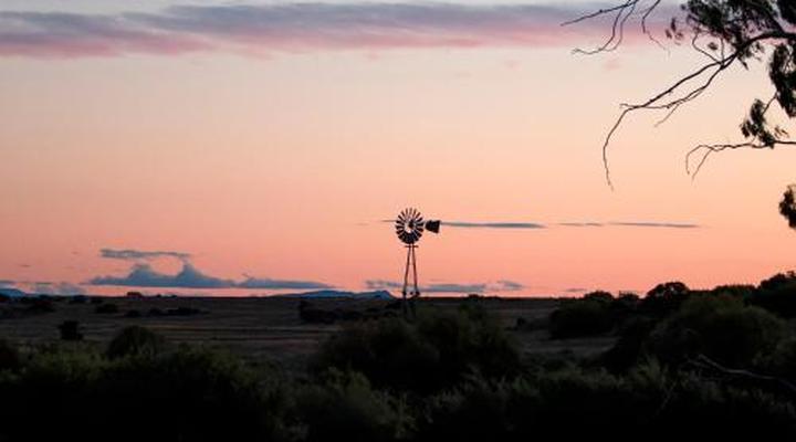 Garingboom Guest Farm