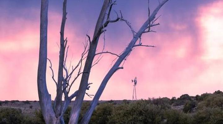 Garingboom Guest Farm