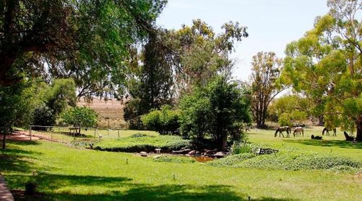 Garingboom Guest Farm