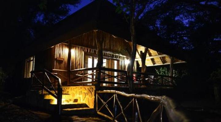 Moholoholo Forest Camp