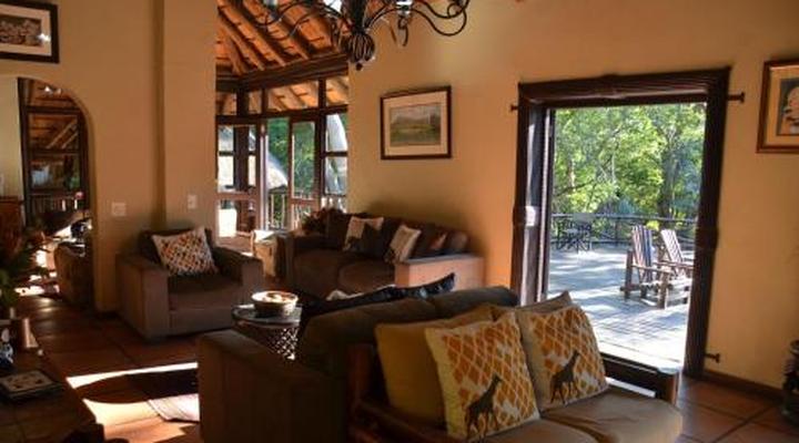 Moholoholo Forest Camp