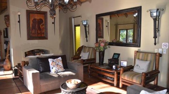 Moholoholo Forest Camp