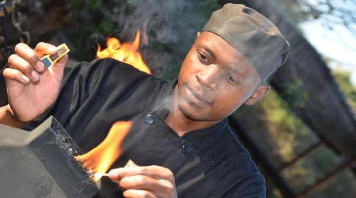 Moholoholo Forest Camp