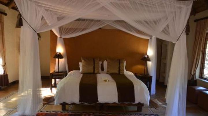 Moholoholo Forest Camp