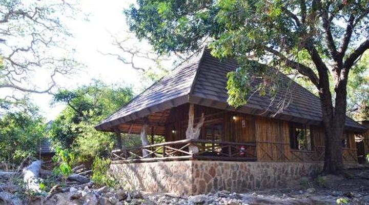 Moholoholo Forest Camp