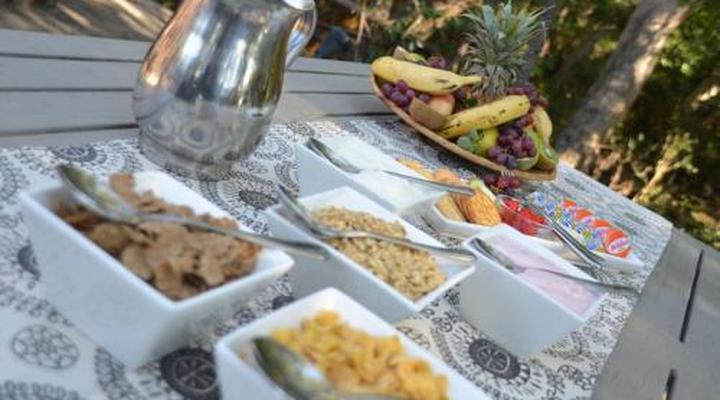 Moholoholo Forest Camp