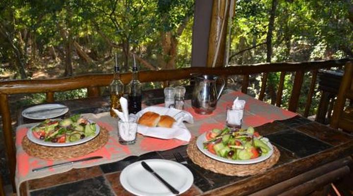 Moholoholo Forest Camp