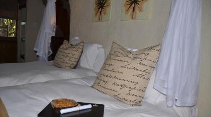 Moholoholo Forest Camp