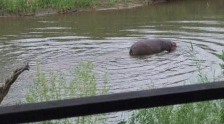 Lukafrica Riverside Chalets & Safaris