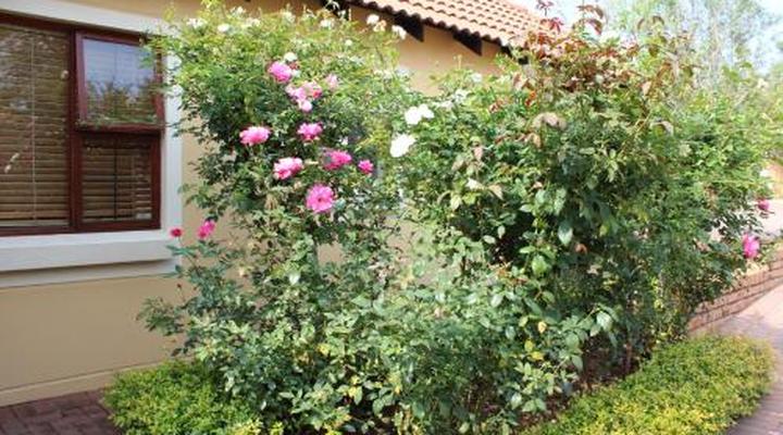 Topaz Cove Luxury Villas