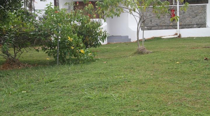 Daniella's Bungalows