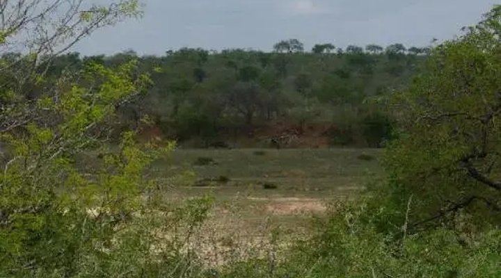 Kruger View Cottage