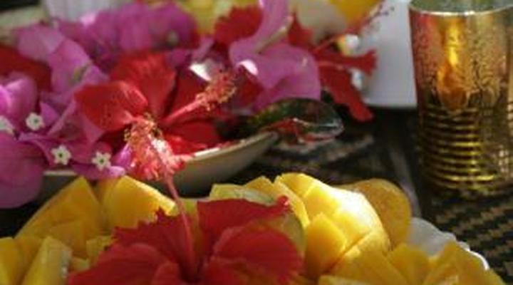 Banana House and Wellness Centre