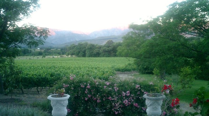 Bellingham Homestead