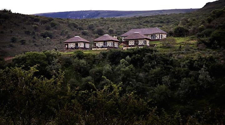 Addo Bush Palace Private Reserve