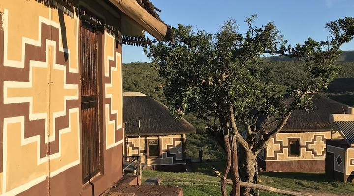 Addo Bush Palace Private Reserve