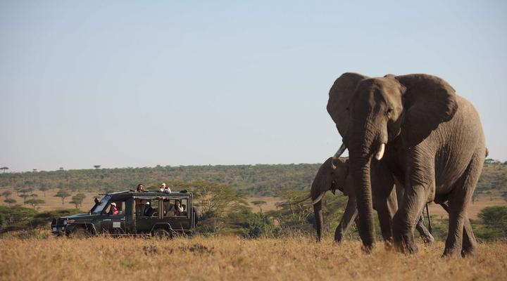 Kicheche Valley Camp