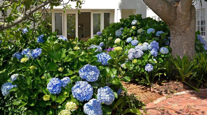 Fransvliet Guest House