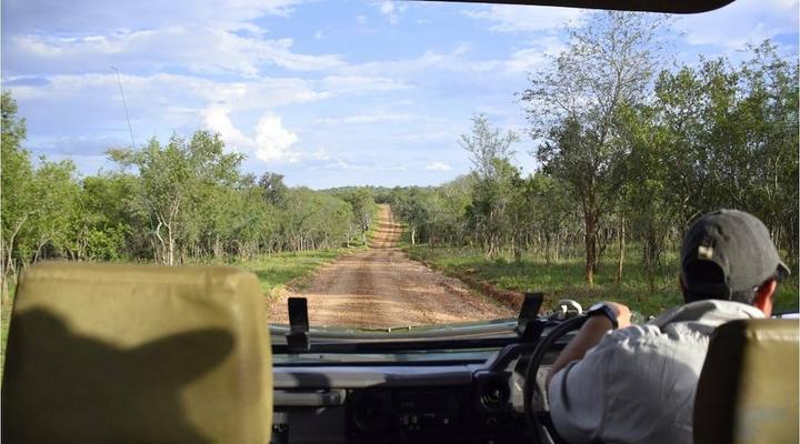 Raptor Retreat Game Lodge