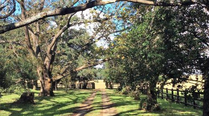 Petra's Country Guesthouse