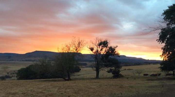 Petra's Country Guesthouse