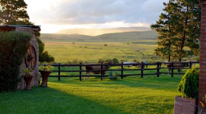 Petra's Country Guesthouse