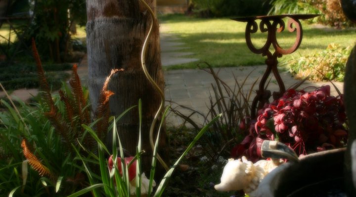 @Flo-Ben Guest House