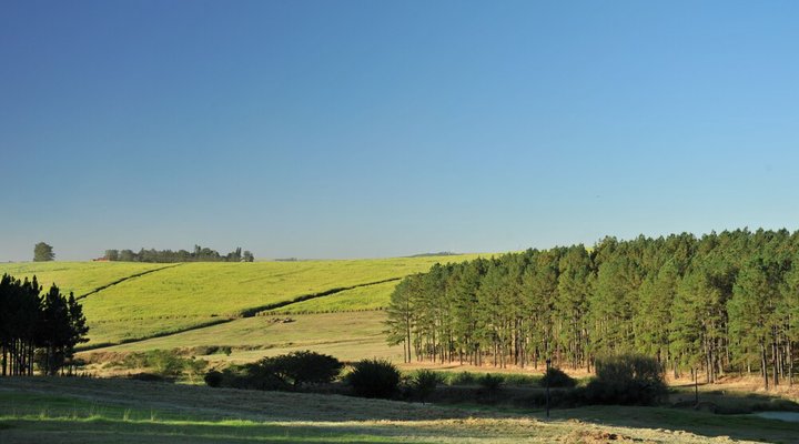 Wartburger Hof Hotel