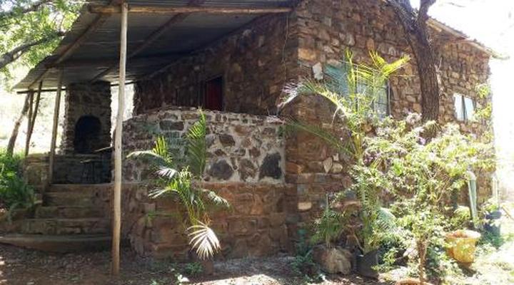 The Shoe Guest House