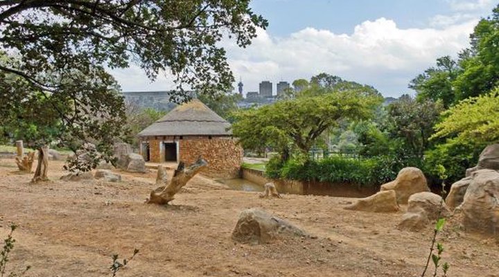 Thulani Lodge