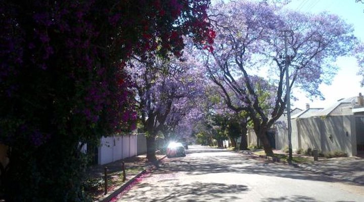 Thulani Lodge