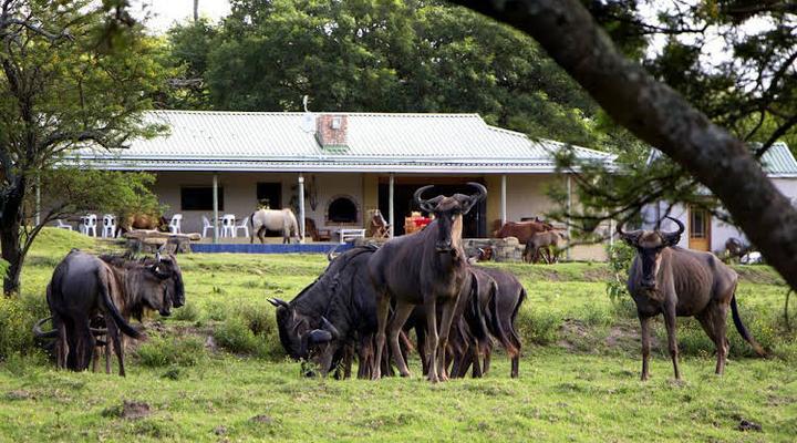 Santa Paloma Guest Farm