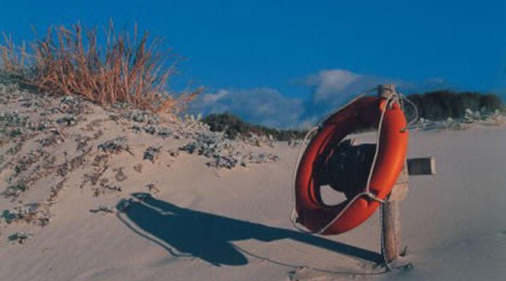 Seagulls Nest Bed and Breakfast