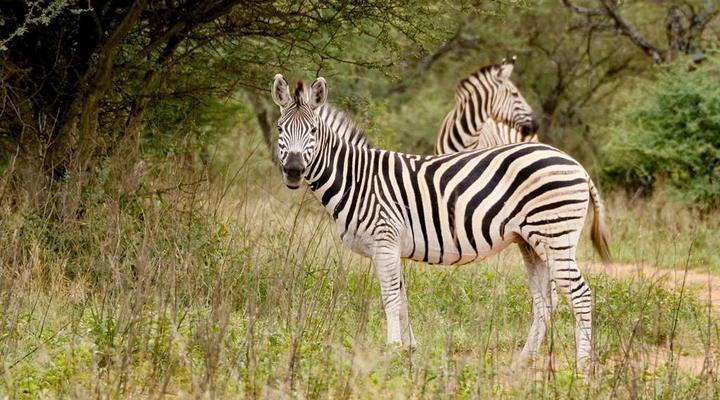 Finfoot Lake Reserve by Dream Resorts