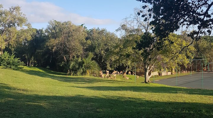 Kruger Park Lodge