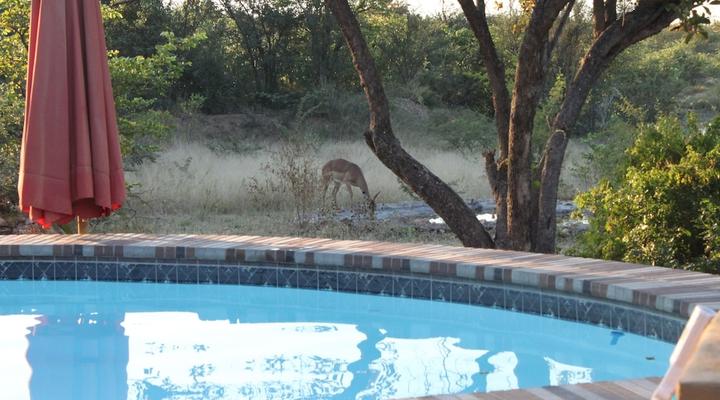 Silonque Bush Estate & Spa